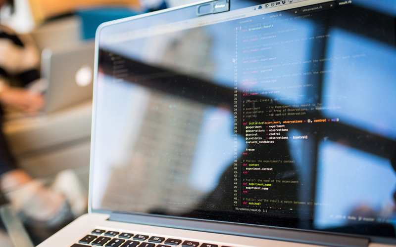 Freelance Programmer